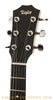 Taylor T5Z Classic Mahogany Acoustic-Electric Guitar - head