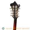 Weber Mandolins - 2010 Vintage F Mandolin Oval Hole Used - Tuners