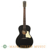 Waterloo WL-14L T-Bar Acoustic Guitar - front