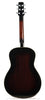 Wechter Scheerhorn Squareneck Resonator - back