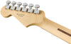 Fender Electric Guitars - Player Stratocaster - Black - Pau Ferro Fingerboard