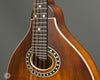 Eastman Mandolins - MD304 - Inlay