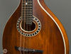 Eastman Mandolins - MD304 - Inlay