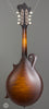 Collings Mandolins - MF GT - Back