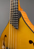 Collings Mandolins - MT GT Honey Amber - Frets