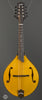 Collings Mandolins - MT GT Honey Amber - Front