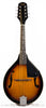 Fender - FM-100 Mandolin Pack