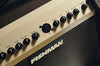 Fishman Loudbox Mini Acoustic Amp - controls 2