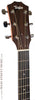 Taylor 414ce Acoustic Guitar - head front