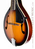 Fender - FM-100 Mandolin Pack