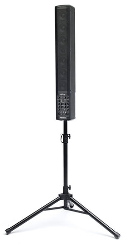 Fishman SA220 Solo Performance System - upright