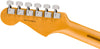 Fender Electric Guitars - American Professional II Stratocaster Anniversary 2-Color Sunburst - Tuners