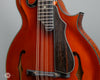 Poe Mandolins - 2007 Elite H5 Mandola - Used - Details