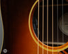Fairbanks Guitars - 2012 F-35 Brazilian Rosewood/Adirondack - Used - Controls