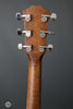 Taylor Acoustic Guitars - 417e-R - Rosewood - Tuners