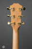 Taylor Acoustic Guitars - 217e-SB Plus - 50th Anniversary - Tuners