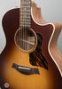 Taylor Acoustic Guitars - AD14ce LTD - 50th Anniversary - American Dream - Sunburst - Pickguard