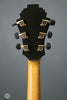 Moll Custom Instruments - 2003 The Classic 16" Archtop - Used - Tuners