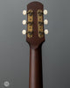 Iris Guitars - DF - Tobacco Burst - Ivoroid Binding - Small Firestripe Pickguard - Flower Pot - Back Headstock