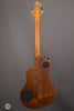 Rick Turner RS-6 Renaissance Steel USED - Back 