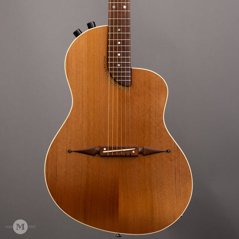 Rick Turner RS-6 Renaissance Steel USED - Front Close 