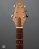 Rick Turner RS-6 Renaissance Steel USED - Front Headstock 