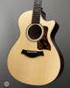 Taylor Acoustic Guitars - 312ce Next Generation - Front Angle