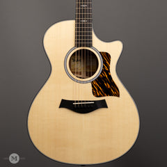 Taylor Acoustic Guitars - 312ce Next Generation - Front Close 
