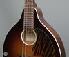 Waterloo by Collings - WL-M Mandolin - Frets