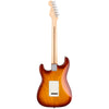 Fender Electric Guitars - American Professional Stratocaster HSS - Sienna Sunburst - Back