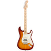 Fender Electric Guitars - American Professional Stratocaster HSS - Sienna Sunburst - Front