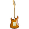 Fender Electric Guitars - American Performer Series Stratocaster - Honey Burst - Back