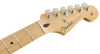 Fender Electric Guitars - Player Stratocaster - Black - Maple Fingerboard