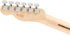 Fender Electric Guitars - American Performer Series Telecaster - Butterscotch - Tuners