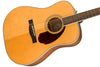 Fender Acoustic Guitars - PM-1 Standard Dreadnought - Details