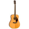 Fender Acoustic Guitars - PM-1 Standard Dreadnought - Angle