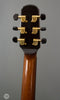 Mcallister Guitars - 2004 C-173 - Used - Tuners