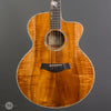 Taylor Guitars - 2004 K65CE-L7 Tropical Vine Inlay - Used - Front Close