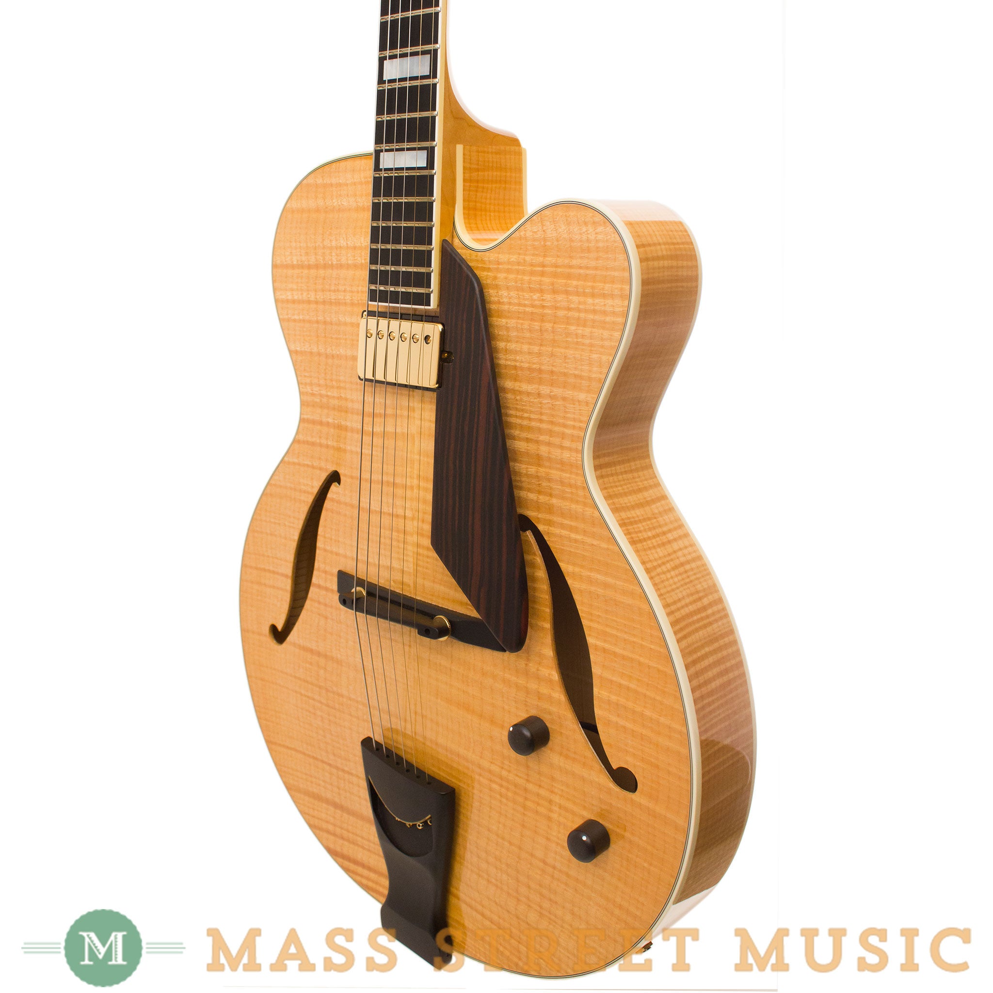 D'aquisto Guitar Jazz Line | nate-hospital.com