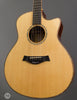 Taylor Guitars - 2008 Cocobolo GS Fall Limited - Used - Angle