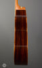 Taylor Guitars - 2008 Cocobolo GS Fall Limited - Used - Side1