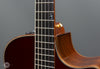 Taylor Guitars - 2009 35th Anniversary XXXV-B Baritone - Used - Frets