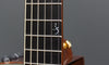 Taylor Guitars - 2009 35th Anniversary XXXV-B Baritone - Used - Inlay