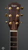 Taylor Acoustic Guitar - 2010 GS5 Lefty - Used - Headstock