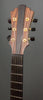 Eastman Electric Guitars - 2013 AR880CE John Pisano Used