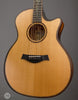 Taylor Acoustic Guitars - K14ce Builder's Edition - Angle