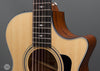 Taylor Acoustic Guitars - 352ce 12-String V-Class - Frets