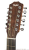 Taylor 354ce 12-string headstock front photo