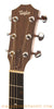 Taylor 510 1996 Acoustic Guitar - head