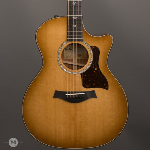 Taylor Acoustic Guitars - 514ce - V-Class - Urban Ironbark